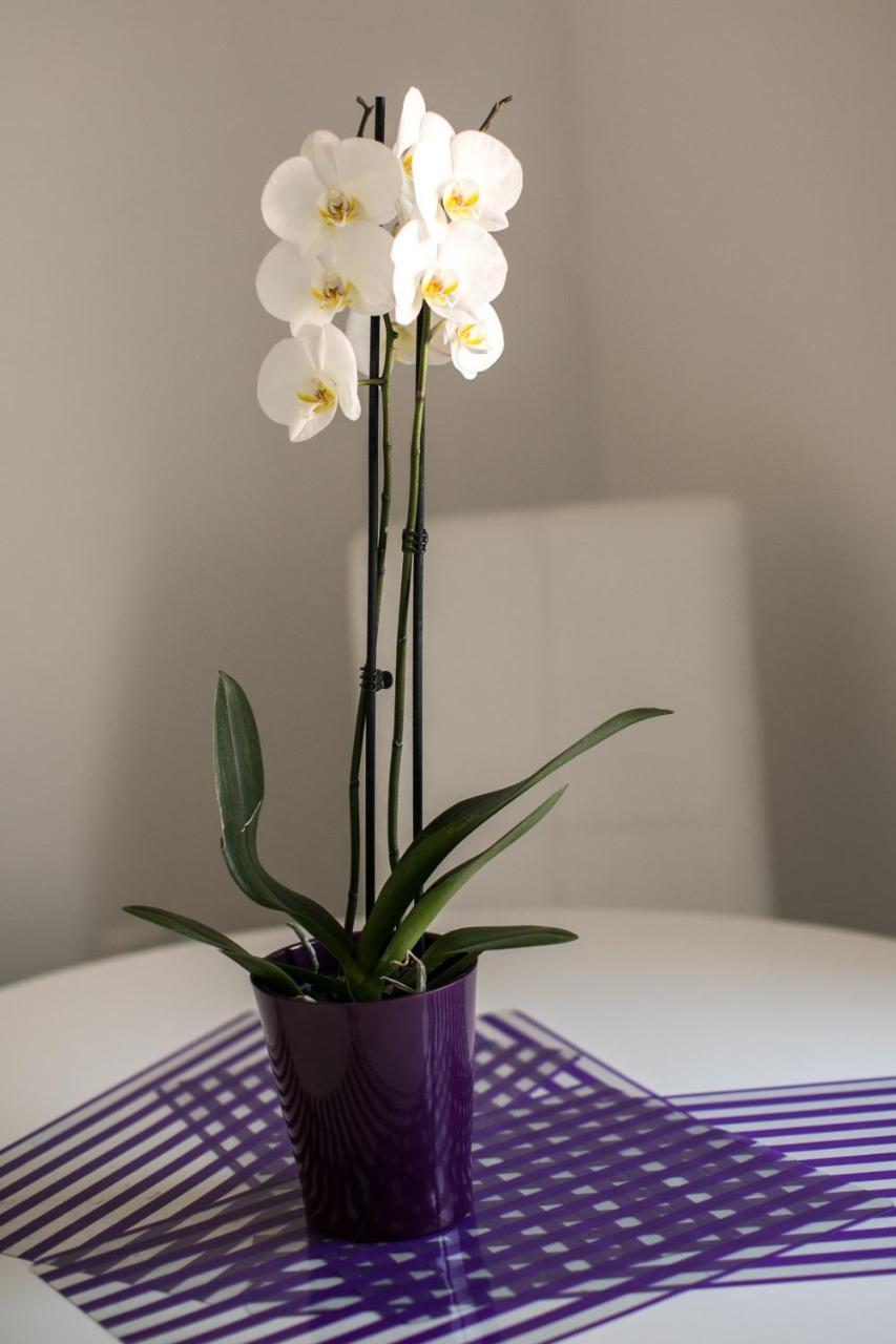 Apartment Renjak Sukošan